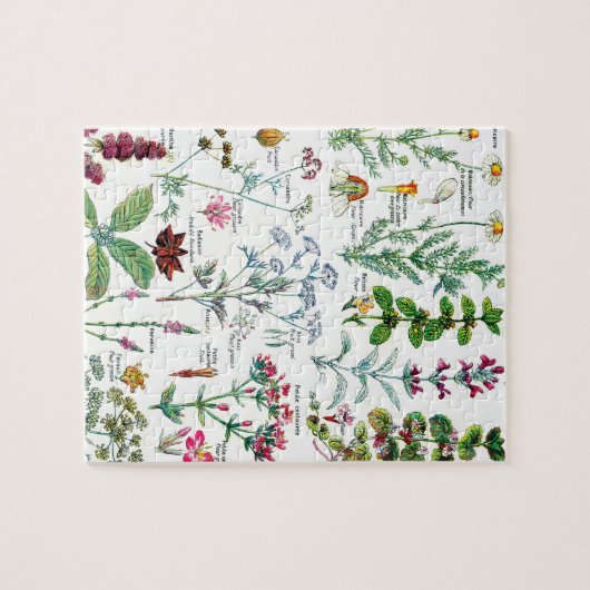 Botanische Illustrationen Puzzle (Horizontal)