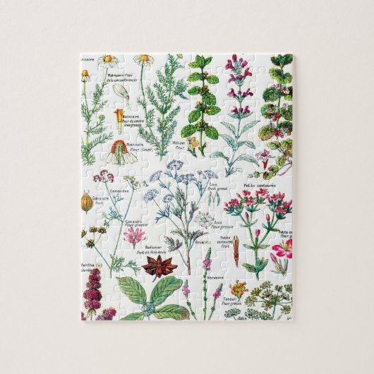 Botanische Illustrationen Puzzle (Vertikal)