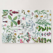 Botanische Illustrationen Puzzle (Horizontal)