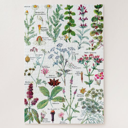 Botanische Illustrationen Puzzle (Vertikal)