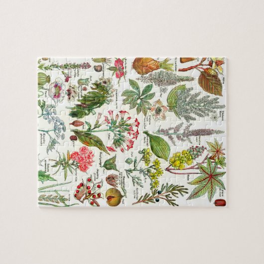 Botanische Illustrationen Puzzle (Horizontal)
