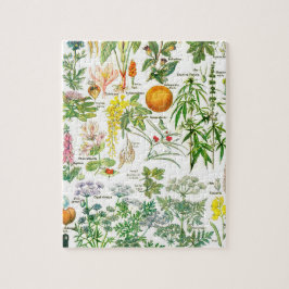Botanische Illustrationen Puzzle