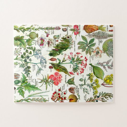 Botanische Illustrationen Puzzle (Horizontal)