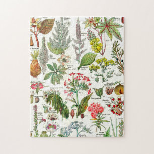 Botanische Illustrationen Puzzle