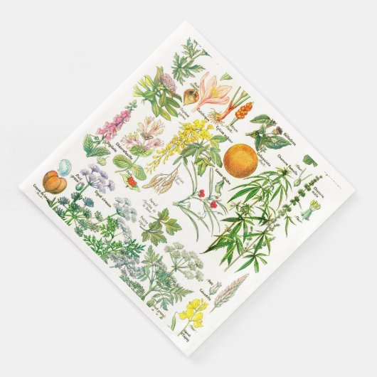 Botanische Illustrationen Serviette (Ecke)