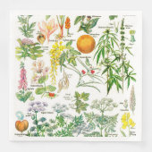 Botanische Illustrationen Serviette (Vorderseite)