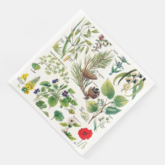 Botanische Illustrationen Serviette (Ecke)