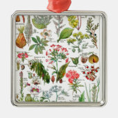 Botanische Illustrationen Silbernes Ornament (Vorne)