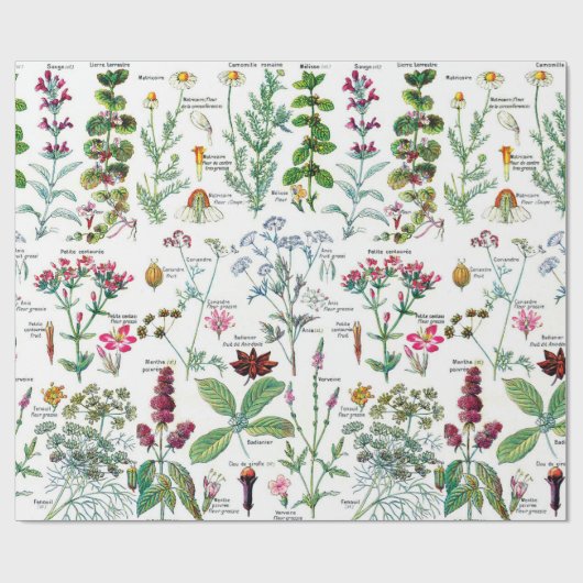 Botanische Illustrations Geschenkpapier (Flach)