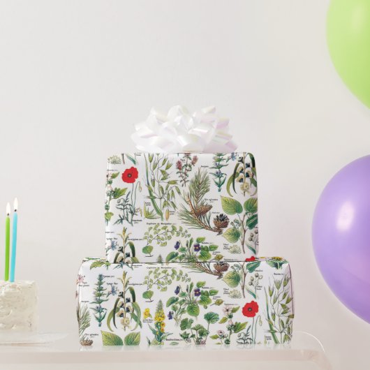 Botanische Illustrations Geschenkpapier (Partygeschenke)