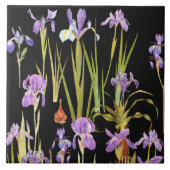 Botanische Iris-Blumen-Blumeniris Fliese (Vorderseite)