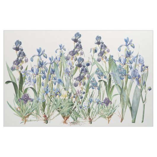 Botanische Iris-Blumen Florale Redoute-Stoff Stoff (Yard (91,4 cm))