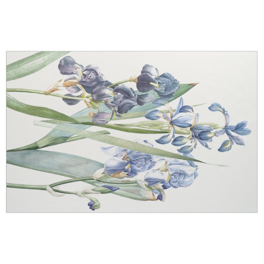 Botanische Iris-Blumen Florale Redoute-Stoff Stoff (Yard (91,4 cm))