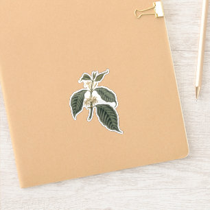 Botanische Kaffee-Pflanze Bohemian Eleganz Floral  Aufkleber
