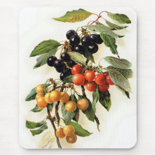Botanische Kirschen Mousepad