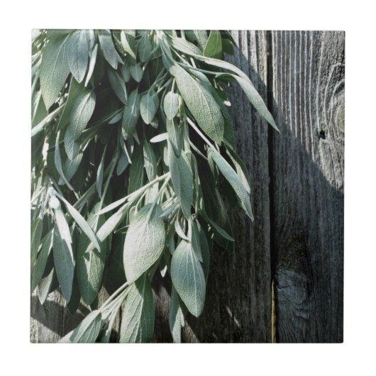 Botanische Kräuter aus Barnholz Fliese (Vorderseite)