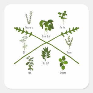 Botanische Kräuter Kräutergarten Geburtstag Quadratischer Aufkleber