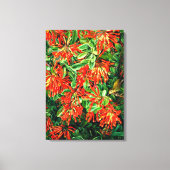 Botanische Kunst: Bush und Emu Wren des Chilen bre Leinwanddruck (Vorderseite)