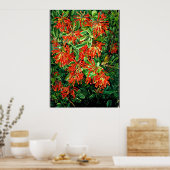 Botanische Kunst: Bush und Emu Wren des Chilen bre Poster (Küche)