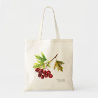 Botanische Kunst des Hawthorn, Aquarellmalerei