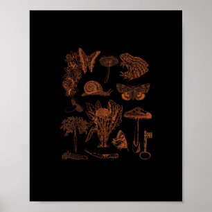 Botanische Kunst, Frosch-Pilze-Goblincore-Ästhetik Poster