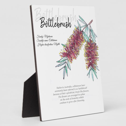 Botanische Kunst in Australien Fotoplatte (Seite)