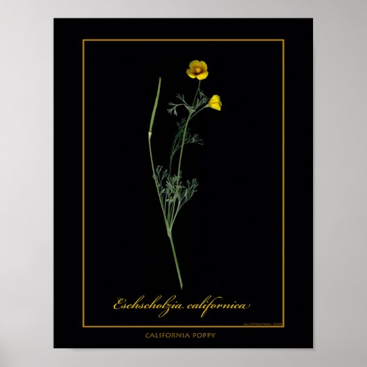 Botanische Kunst in Kalifornien Poster (Vorne)