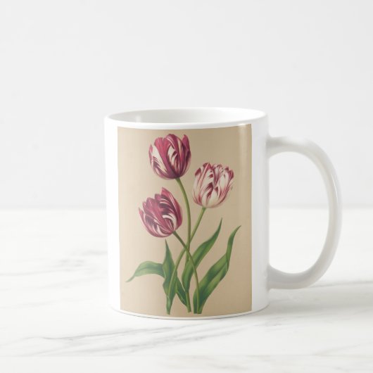 Botanische Kunst Kaffeetasse (Rechts)