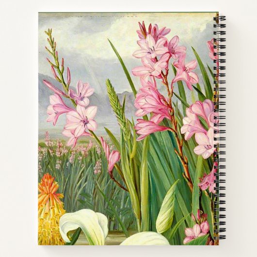 Botanische Kunst: Schönheiten des Sumpfes Notizblock (Rückseite)