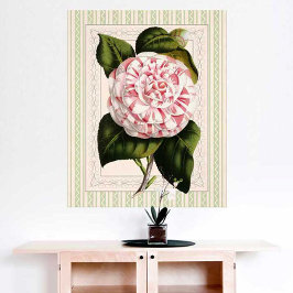Botanische Kunst Vintages Kamelien Poster