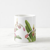 Botanische Ladys Pantoffel-Orchideen-Blumen mit Kaffeetasse (Mittel)