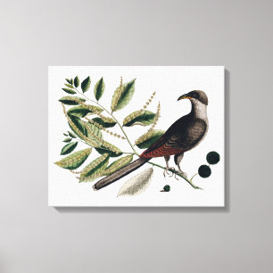 Botanische Leinwand des Vintagen Vogels