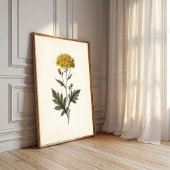 Botanische Ligularia Cottagecore-Wandkunst Poster