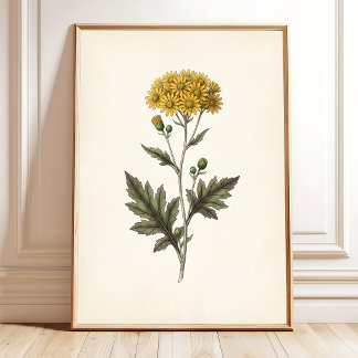 Botanische Ligularia Cottagecore-Wandkunst Poster