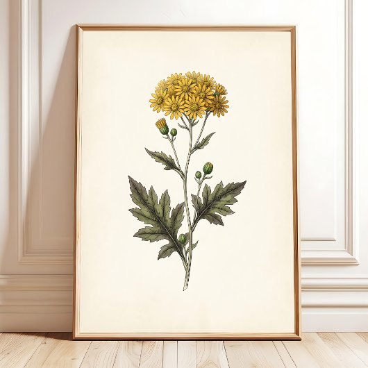Botanische Ligularia Cottagecore-Wandkunst Poster