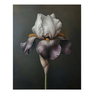 Botanische Malerei mit lila und weißer Irisfarbe Poster