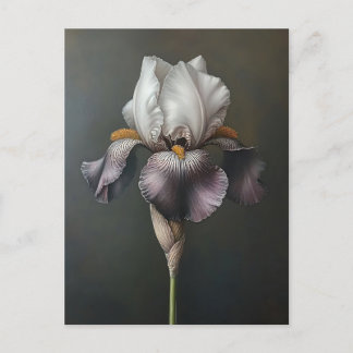 Botanische Malerei mit lila und weißer Irisfarbe Postkarte