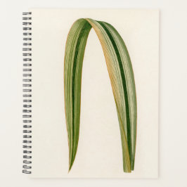 Botanische Mama Vater Planer