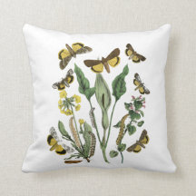Botanische Motte und Schmetterlingskissen