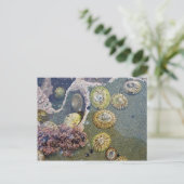 botanische Muscheln Postkarte (Stehend Vorderseite)