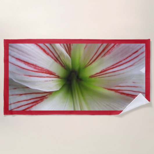 Botanische nahe hohe Foto-Amaryllis-Blume Strandtuch (Vorderseite)