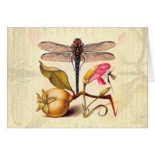 Botanische Natur der Libelle