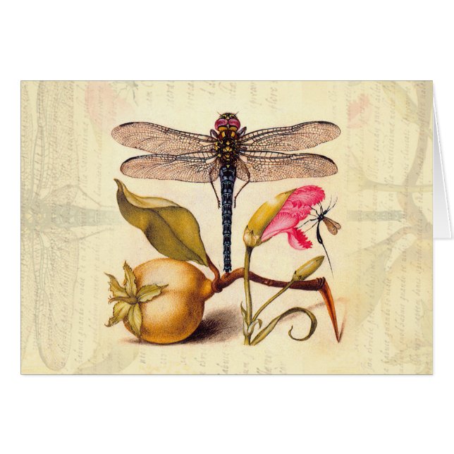 Botanische Natur der Libelle (Vorderseite (Horizontal))