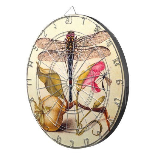 Botanische Natur der Libelle Dartscheibe (Vorderseite rechts)