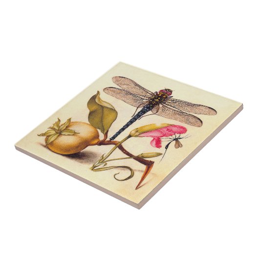 Botanische Natur der Libelle Fliese (Seite)