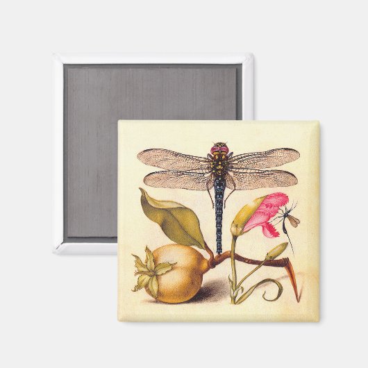 Botanische Natur der Libelle Magnet (Vorderseite/Rückseite)