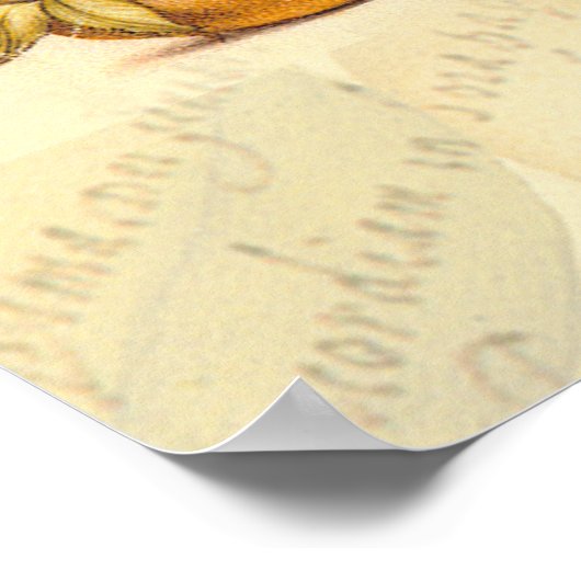 Botanische Natur der Libelle Poster (Ecke)