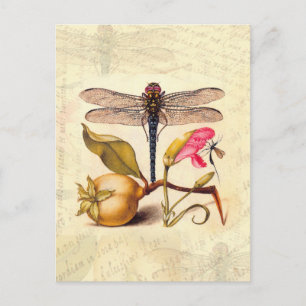 Botanische Natur der Libelle Postkarte