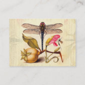 Botanische Natur der Libelle Visitenkarte (Rückseite)