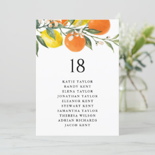 Botanische Oranges and Lemons Hochzeitstisch Sitzo
